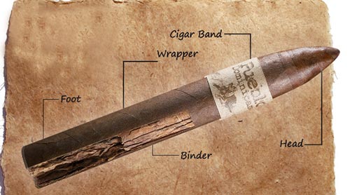 Parts Of A Cigar
